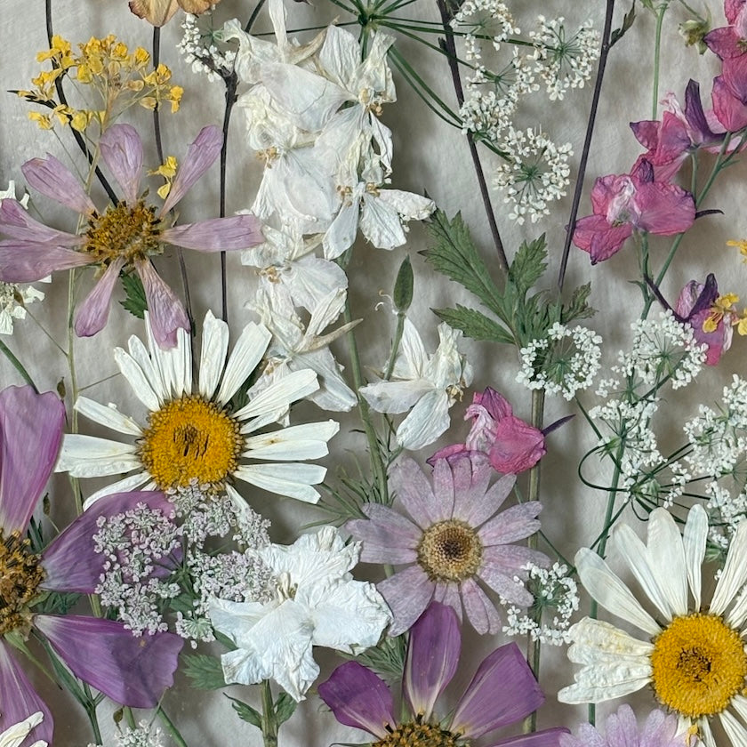 Poetry of flowers in three colours