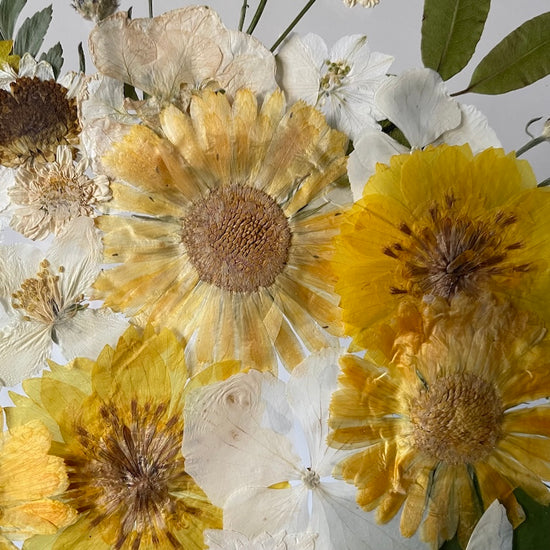 Together through the universe