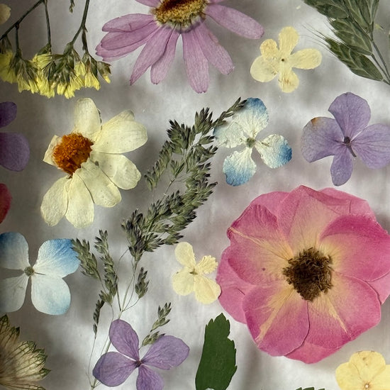 Like a swarm of butterflies