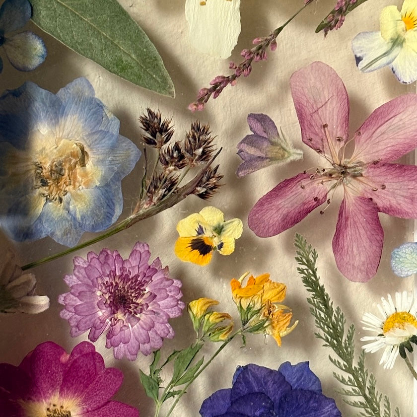 Nine Kinds of Blossom
