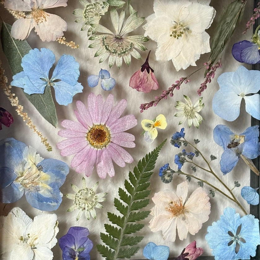 Stream flowers