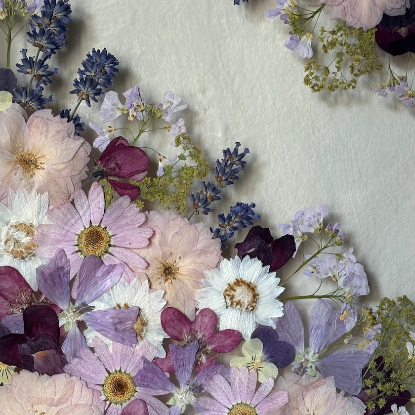 Poetry of flowers in three colours