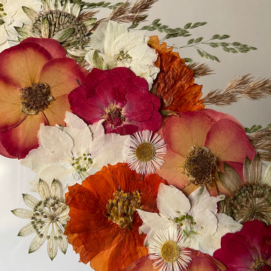 With a mane full of summer