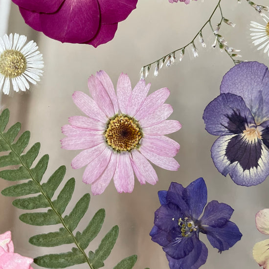 The silence of the magical garden