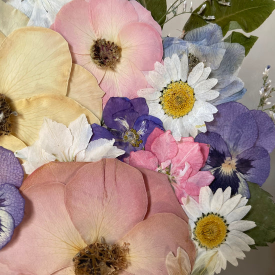 The silence of the magical garden