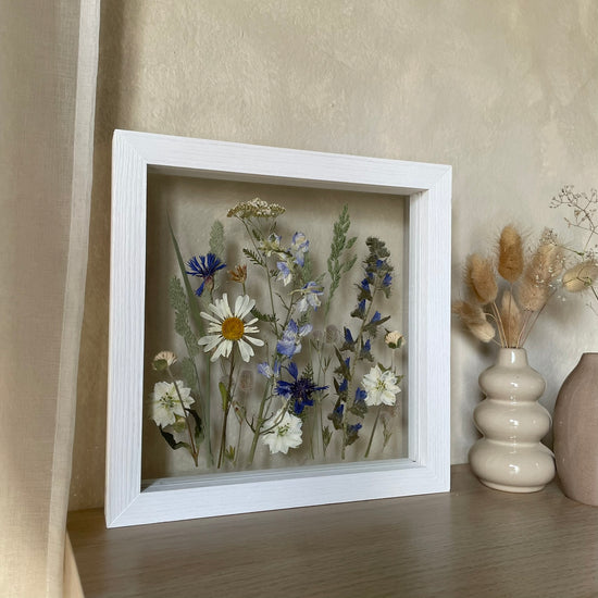 Songs of the Meadow Fairies