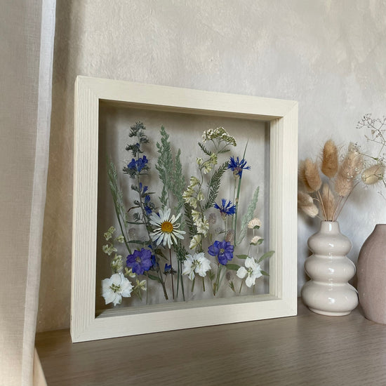 Songs of the Meadow Fairies