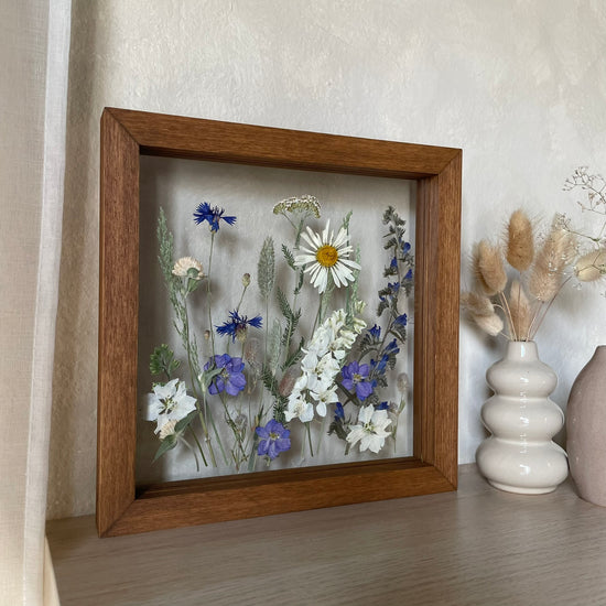 Songs of the Meadow Fairies