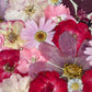 Surrounded by roses