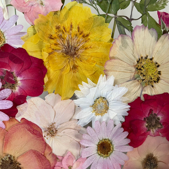 The silence of the magical garden