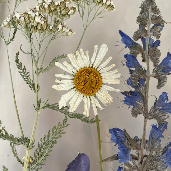 Summer in the village