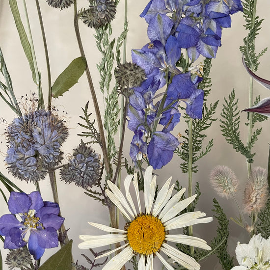 Summer in the village