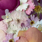 The lure of warm flowers