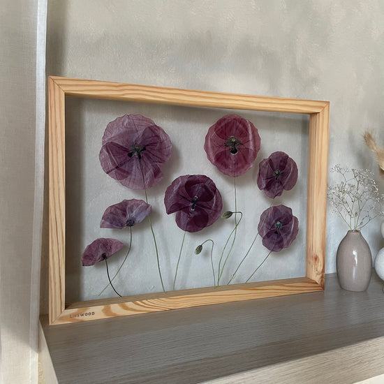 Behind the cottage in bloom