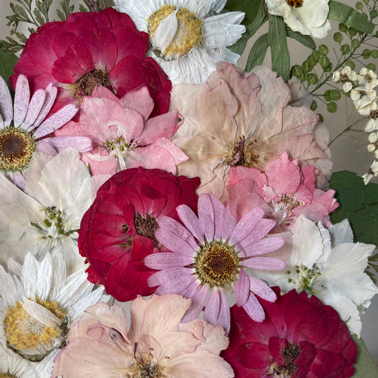 View of the rose garden