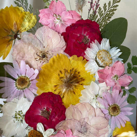 View of the rose garden