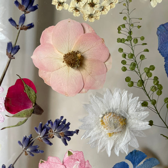 View of the rose garden