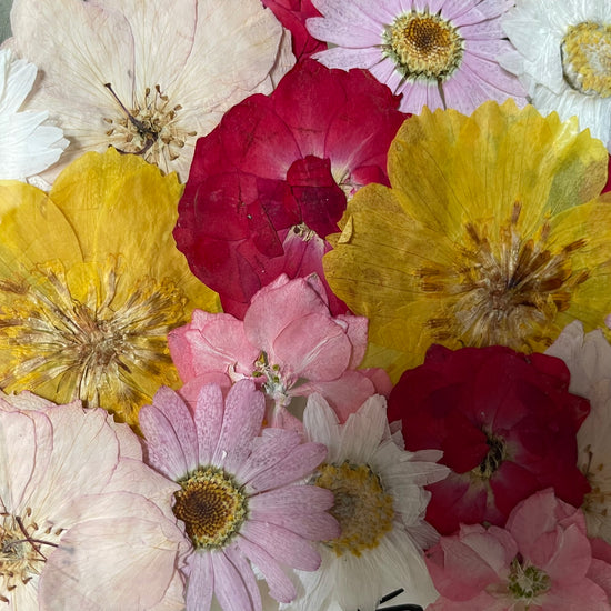 The sound of butterfly wings