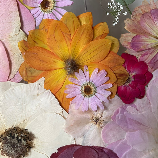 Passion hidden in flowers