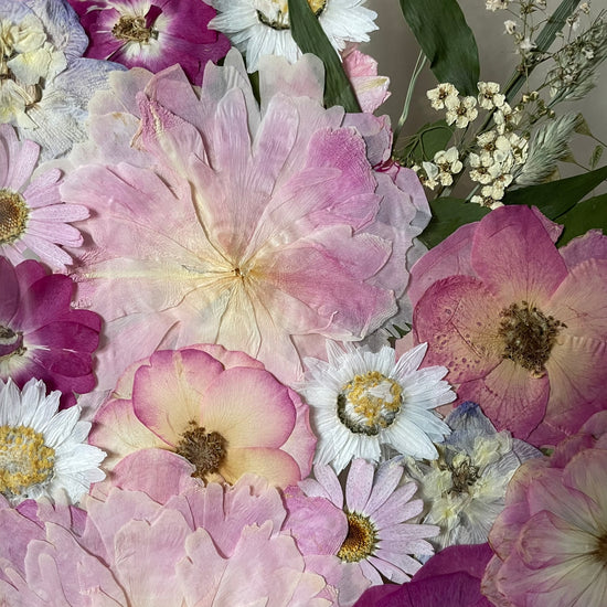 The gentle chirping of birds