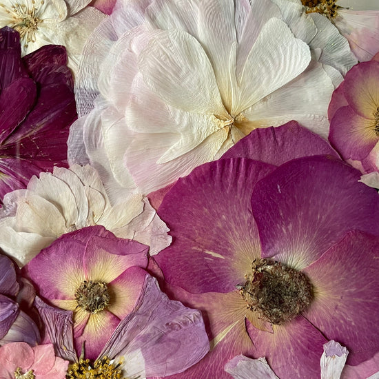 Like the romance I long for