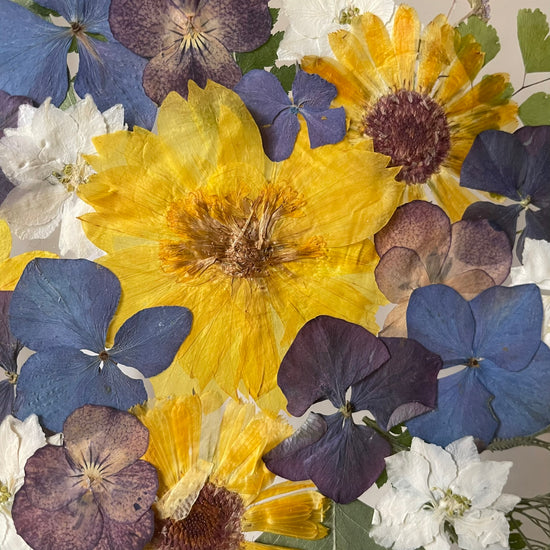 Warm stars among the clouds