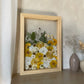 Yellowish marigold