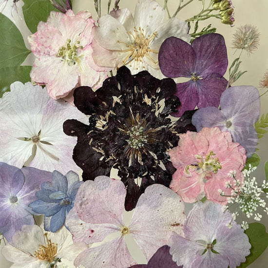 Twilight envelops the floral beauty