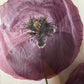 We three, poppies, are coming to you