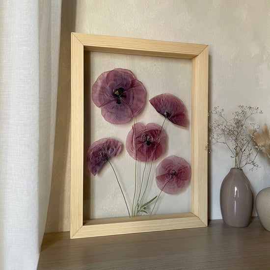 Red poppy enchantment