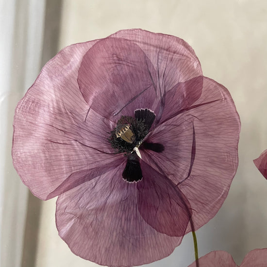 Red poppy enchantment