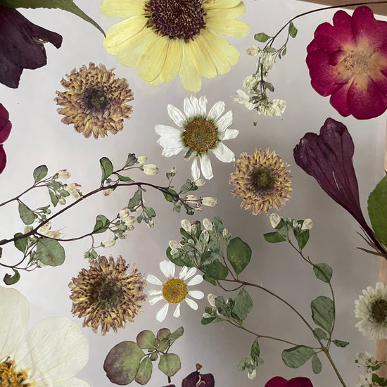 Like a sublime floral ornament