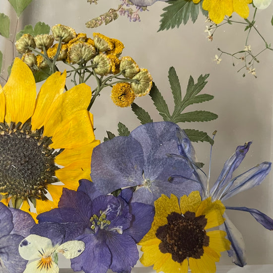 The delicacy of each flower