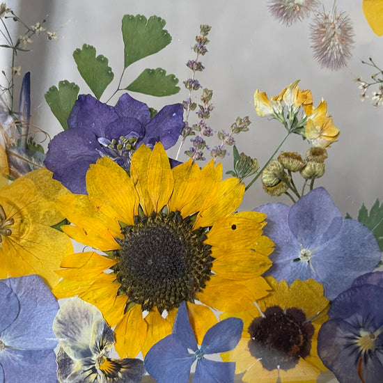 I had a beautiful dream.