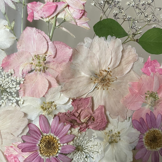 The singing of pink birds