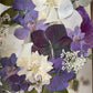 Nordic flower