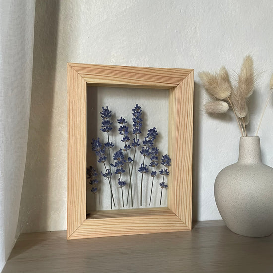 Lavender from Křivoklátsko