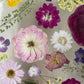 Magical flowers