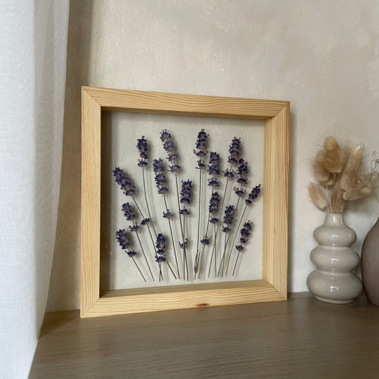 Lavender Dreaming