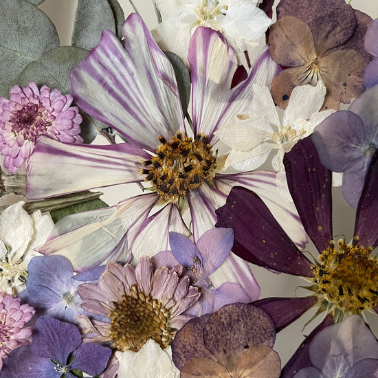 Violet flower