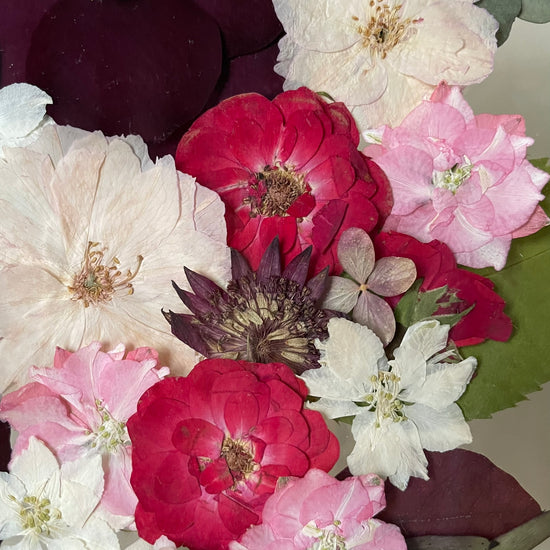 Roses full of tenderness