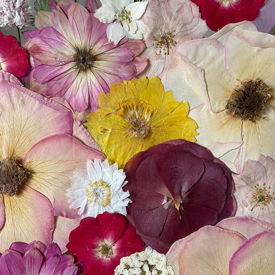 Passion hidden in flowers