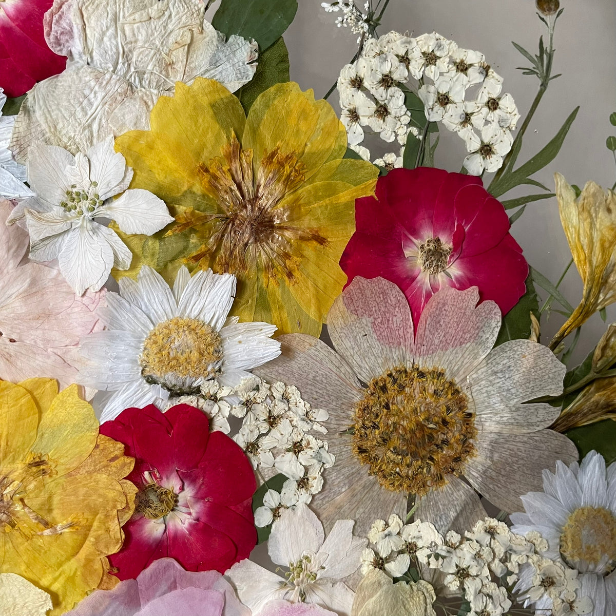 Everything Blooms and Smells Sweet