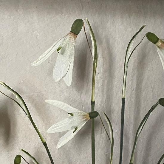 The scent of summer at grandma's