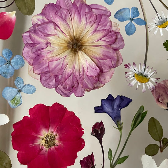 The silence of the magical garden