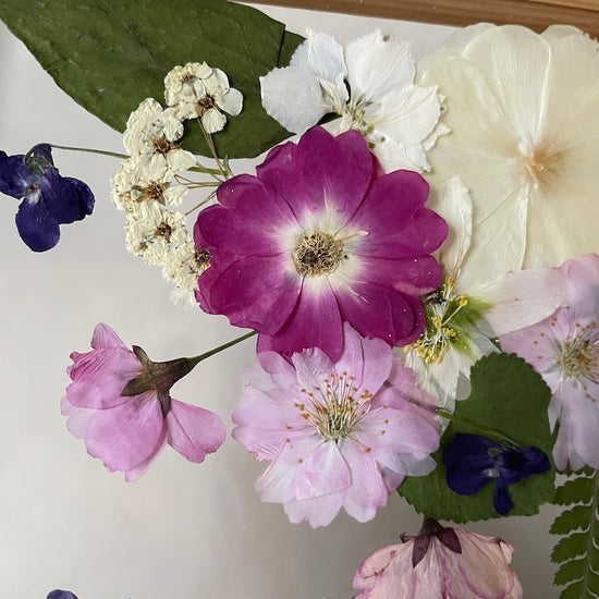 The silence of the magical garden