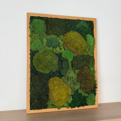 Mossy tree