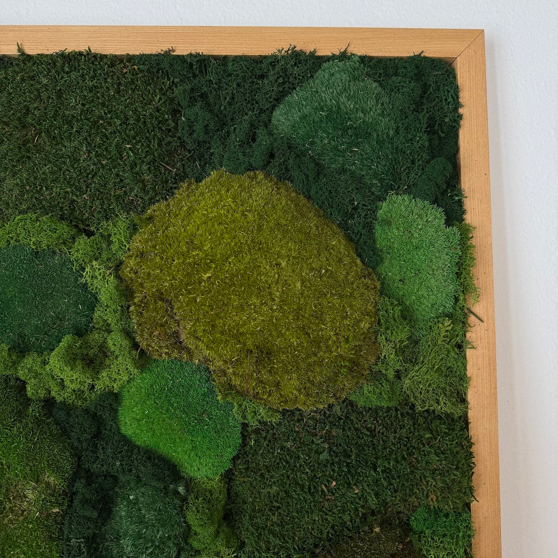Mossy tree