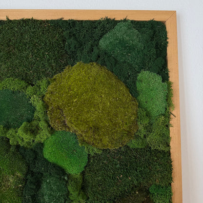 Mossy tree