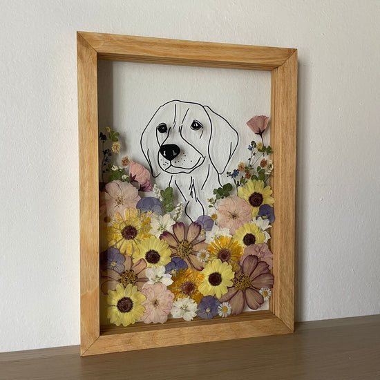 A meadow full of adventures